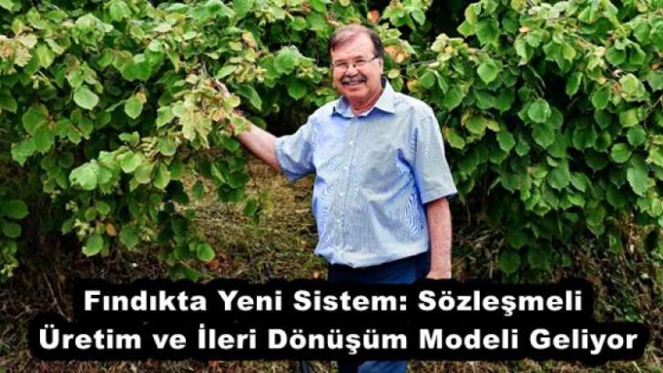Fındıkta Yeni Sistem: Sözleşmeli Üretim ve İleri Dönüşüm Modeli Geliyor