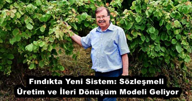Fındıkta Yeni Sistem: Sözleşmeli Üretim ve İleri Dönüşüm Modeli Geliyor