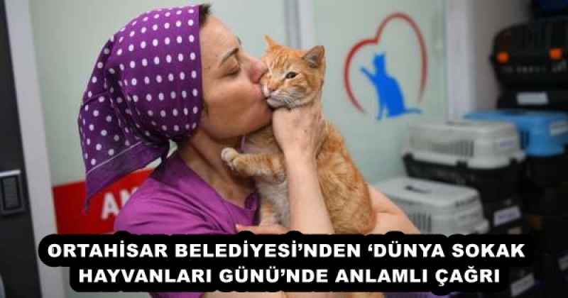 ortahisar_belediyesinden_dunya_sokak_hayvanlari_gununde_anlamli_cagri_h57874_03568 ORTAHİSAR BELEDİYESİ’NDEN ‘DÜNYA SOKAK HAYVANLARI GÜNÜ’NDE ANLAMLI ÇAĞRI