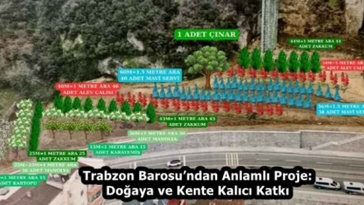 Trabzon Barosu’ndan Anlamlı Proje: Doğaya ve Kente Kalıcı Katkı