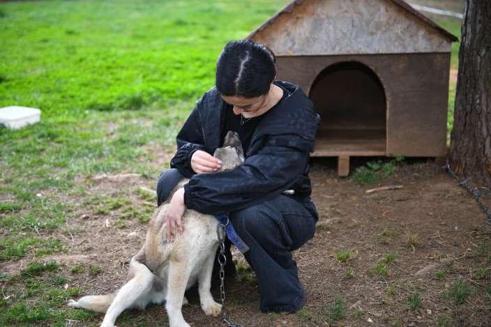 whatsapp_image_2026-04-04_at_11-36-481