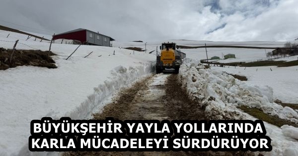 26812add-43e8-4bb6-99d1-68b146cf2e6c