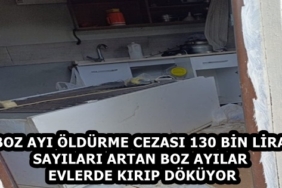 55fa0d32-1e09-49e5-9a1c-c9664cccf01c