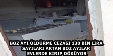 55fa0d32-1e09-49e5-9a1c-c9664cccf01c