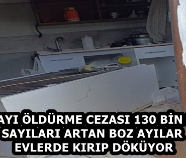 55fa0d32-1e09-49e5-9a1c-c9664cccf01c
