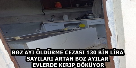 55fa0d32-1e09-49e5-9a1c-c9664cccf01c