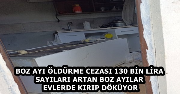 55fa0d32-1e09-49e5-9a1c-c9664cccf01c