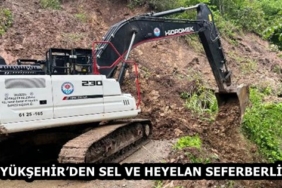 a8b58fee-5f97-4f0f-acd2-bde5914759fb