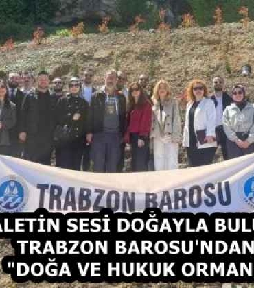 adaletin_sesi_dogayla_bulustu_trabzon_barosu_ndan_doga_ve_hukuk_ormani_h58402_707f4