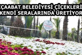 akcaabat_belediyesi_ciceklerini_kendi_seralarinda_uretiyor_h58155_3a676