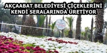 akcaabat_belediyesi_ciceklerini_kendi_seralarinda_uretiyor_h58155_3a676