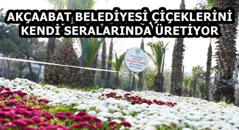akcaabat_belediyesi_ciceklerini_kendi_seralarinda_uretiyor_h58155_3a676