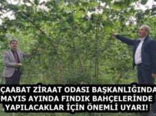 AKÇAABAT ZİRAAT ODASI BAŞKANLIĞINDAN MAYIS AYINDA FINDIK BAHÇELERİNDE YAPILACAKLAR İÇİN ÖNEMLİ UYARI!