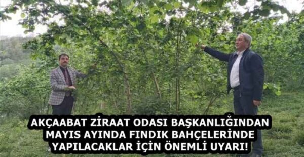 AKÇAABAT ZİRAAT ODASI BAŞKANLIĞINDAN MAYIS AYINDA FINDIK BAHÇELERİNDE YAPILACAKLAR İÇİN ÖNEMLİ UYARI!