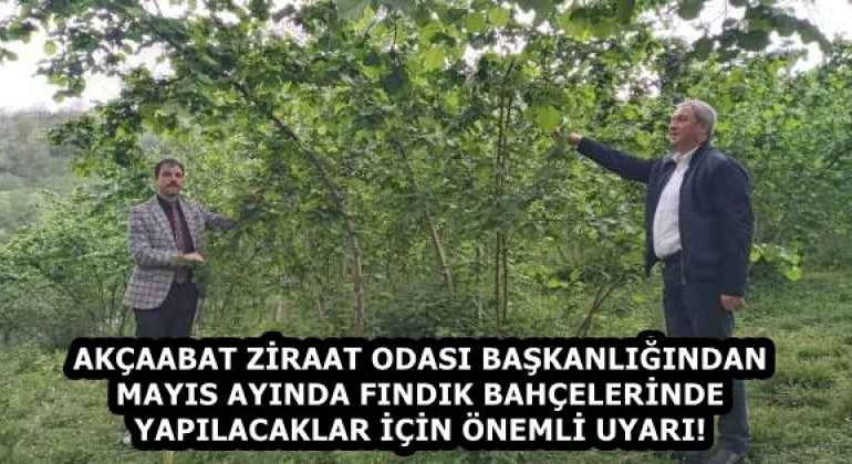 akcaabat_ziraat_odasi_baskanligindan_mayis_ayinda_findik_bahcelerinde_yapilacaklar_icin_onemli_uyari_h58361_c613f