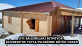 AYI SALDIRILARI BİTMİYOR  İKİZDERE’DE YAYLA EVLERİNDE BÜYÜK HASAR