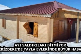 ayi_saldirilari_bitmiyor_ikizderede_yayla_evlerinde_buyuk_hasar_h58433_9e5ed