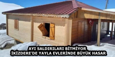 ayi_saldirilari_bitmiyor_ikizderede_yayla_evlerinde_buyuk_hasar_h58433_9e5ed