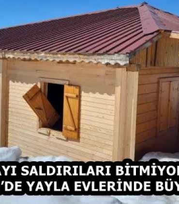 ayi_saldirilari_bitmiyor_ikizderede_yayla_evlerinde_buyuk_hasar_h58433_9e5ed