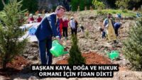 BAŞKAN KAYA, DOĞA VE HUKUK ORMANI İÇİN FİDAN DİKTİ
