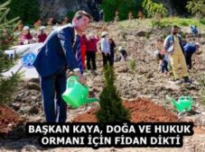 BAŞKAN KAYA, DOĞA VE HUKUK ORMANI İÇİN FİDAN DİKTİ
