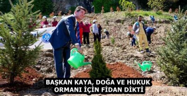 BAŞKAN KAYA, DOĞA VE HUKUK ORMANI İÇİN FİDAN DİKTİ