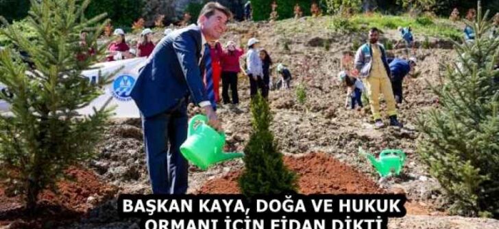 BAŞKAN KAYA, DOĞA VE HUKUK ORMANI İÇİN FİDAN DİKTİ