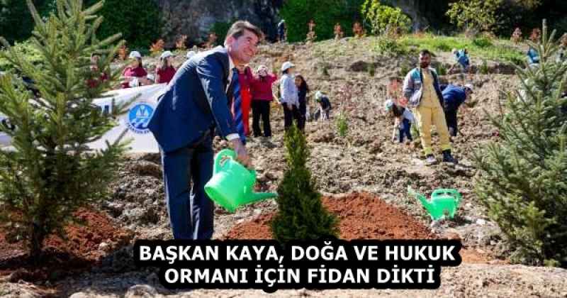 BAŞKAN KAYA, DOĞA VE HUKUK ORMANI İÇİN FİDAN DİKTİ