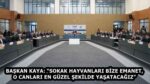 BAŞKAN KAYA: “SOKAK HAYVANLARI BİZE EMANET, O CANLARI EN GÜZEL ŞEKİLDE YAŞATACAĞIZ”