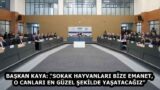 BAŞKAN KAYA: “SOKAK HAYVANLARI BİZE EMANET, O CANLARI EN GÜZEL ŞEKİLDE YAŞATACAĞIZ”