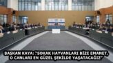 BAŞKAN KAYA: “SOKAK HAYVANLARI BİZE EMANET, O CANLARI EN GÜZEL ŞEKİLDE YAŞATACAĞIZ”