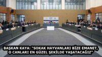 BAŞKAN KAYA: “SOKAK HAYVANLARI BİZE EMANET, O CANLARI EN GÜZEL ŞEKİLDE YAŞATACAĞIZ”