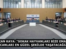 BAŞKAN KAYA: “SOKAK HAYVANLARI BİZE EMANET, O CANLARI EN GÜZEL ŞEKİLDE YAŞATACAĞIZ”