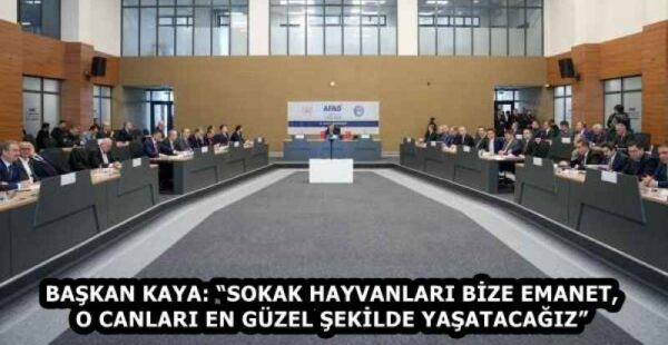 BAŞKAN KAYA: “SOKAK HAYVANLARI BİZE EMANET, O CANLARI EN GÜZEL ŞEKİLDE YAŞATACAĞIZ”