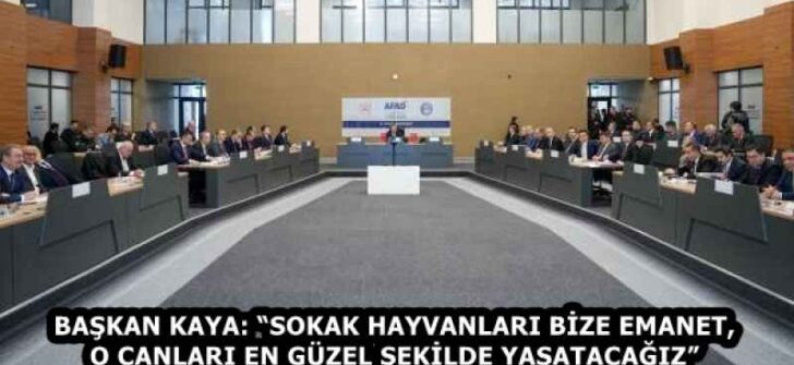 BAŞKAN KAYA: “SOKAK HAYVANLARI BİZE EMANET, O CANLARI EN GÜZEL ŞEKİLDE YAŞATACAĞIZ”