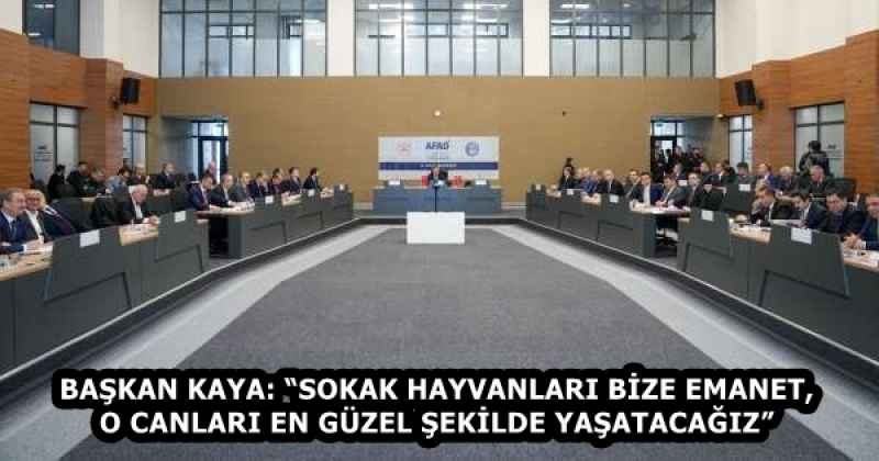 BAŞKAN KAYA: “SOKAK HAYVANLARI BİZE EMANET, O CANLARI EN GÜZEL ŞEKİLDE YAŞATACAĞIZ”
