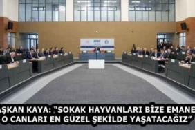 baskan_kaya_sokak_hayvanlari_bize_emanet_o_canlari_en_guzel_sekilde_yasatacagiz_h58382_02fab