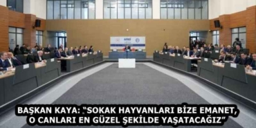 baskan_kaya_sokak_hayvanlari_bize_emanet_o_canlari_en_guzel_sekilde_yasatacagiz_h58382_02fab