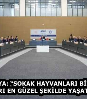 baskan_kaya_sokak_hayvanlari_bize_emanet_o_canlari_en_guzel_sekilde_yasatacagiz_h58382_02fab