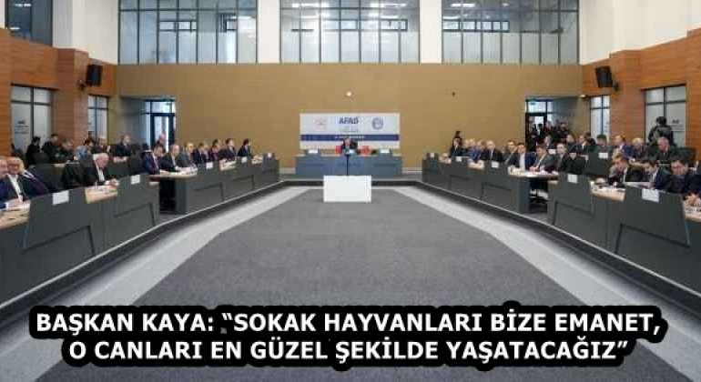 baskan_kaya_sokak_hayvanlari_bize_emanet_o_canlari_en_guzel_sekilde_yasatacagiz_h58382_02fab