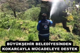 buyuksehir_belediyesinden_kokarcayla_mucadeleye_destek_h57950_9342f