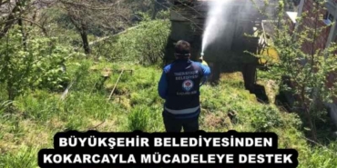 buyuksehir_belediyesinden_kokarcayla_mucadeleye_destek_h57950_9342f