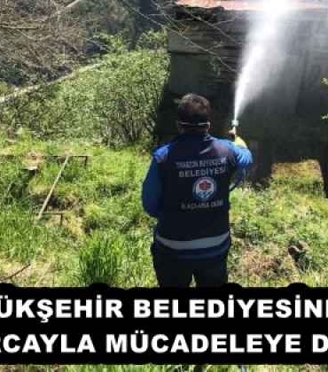 buyuksehir_belediyesinden_kokarcayla_mucadeleye_destek_h57950_9342f