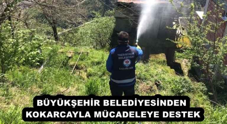 buyuksehir_belediyesinden_kokarcayla_mucadeleye_destek_h57950_9342f