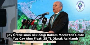 cay_ureticisinin_bekledigi_rakam_meclisten_geldi_yas_cay_alim_fiyati_35_tl_olarak_aciklandi_h58461_33840
