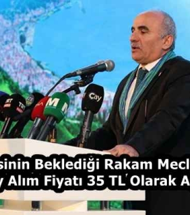 cay_ureticisinin_bekledigi_rakam_meclisten_geldi_yas_cay_alim_fiyati_35_tl_olarak_aciklandi_h58461_33840