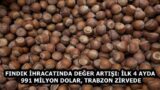 FINDIK İHRACATINDA DEĞER ARTIŞI: İLK 4 AYDA 991 MİLYON DOLAR, TRABZON ZİRVEDE