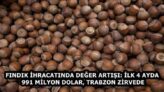 FINDIK İHRACATINDA DEĞER ARTIŞI: İLK 4 AYDA 991 MİLYON DOLAR, TRABZON ZİRVEDE