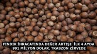 FINDIK İHRACATINDA DEĞER ARTIŞI: İLK 4 AYDA 991 MİLYON DOLAR, TRABZON ZİRVEDE