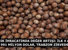 FINDIK İHRACATINDA DEĞER ARTIŞI: İLK 4 AYDA 991 MİLYON DOLAR, TRABZON ZİRVEDE